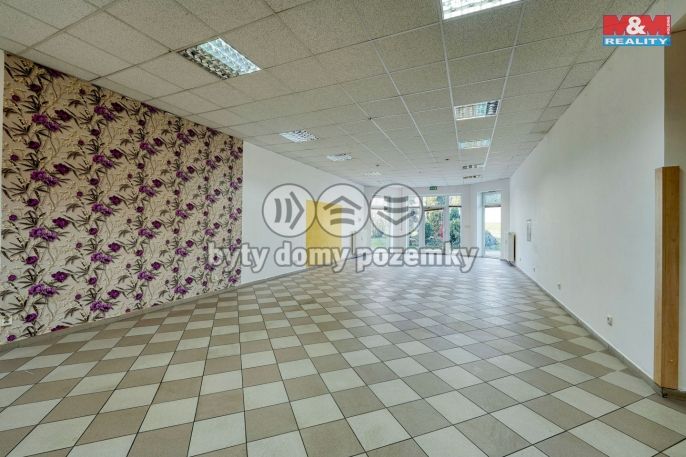 Pronájem, Obchod a služby, Třemošná