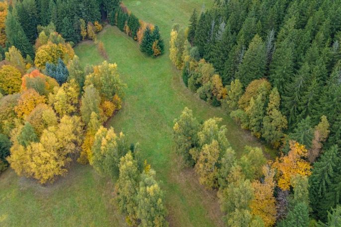 Prodej, Louka, Tanvald