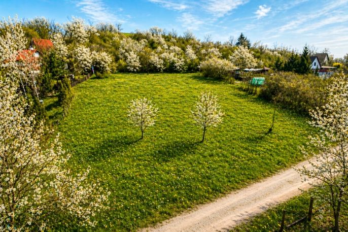 Prodej, Zahrada, Postoloprty