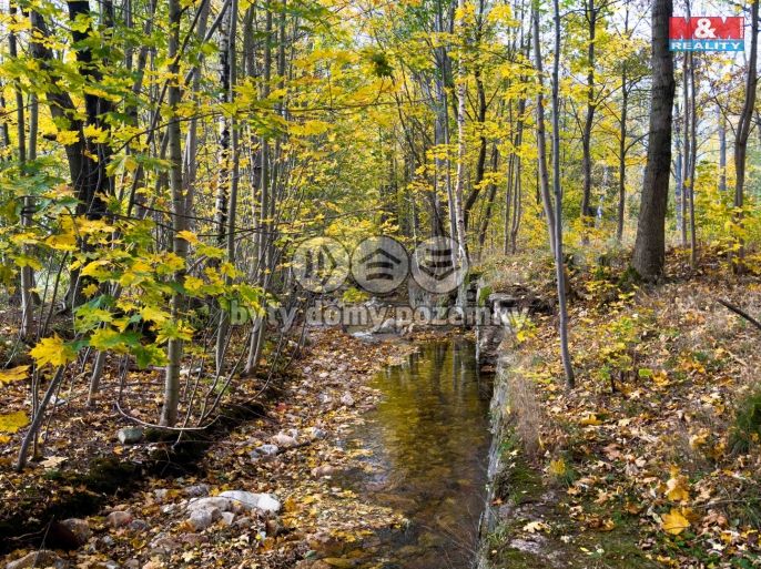 Prodej, Vodní plocha, Nové Město pod Smrkem