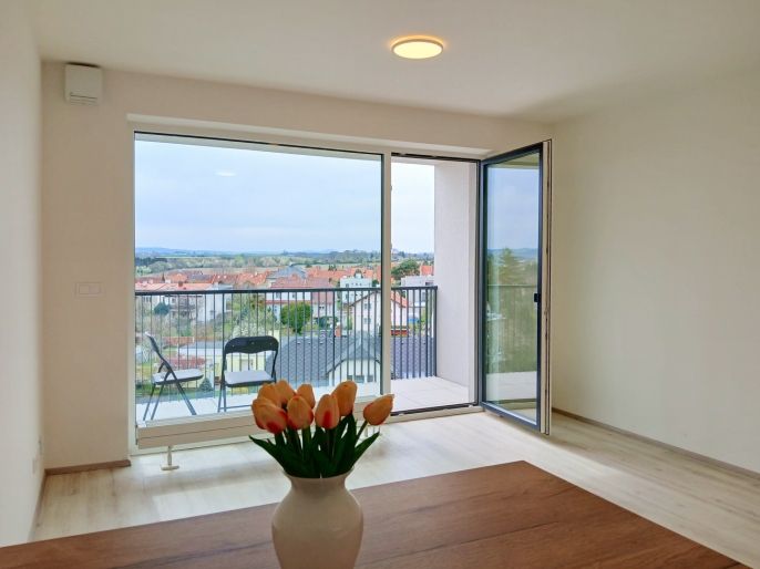 Pronájem, Byt 1+kk, Opava