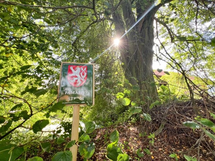Prodej, Zemědělská usedlost, Kostelec nad Černými lesy