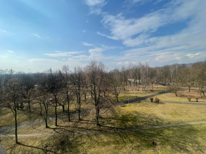 Prodej, Byt 2+1, Litvínov