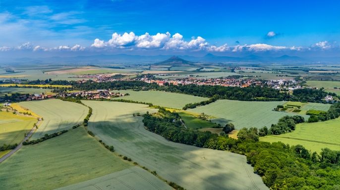 Prodej, Les, Libochovice