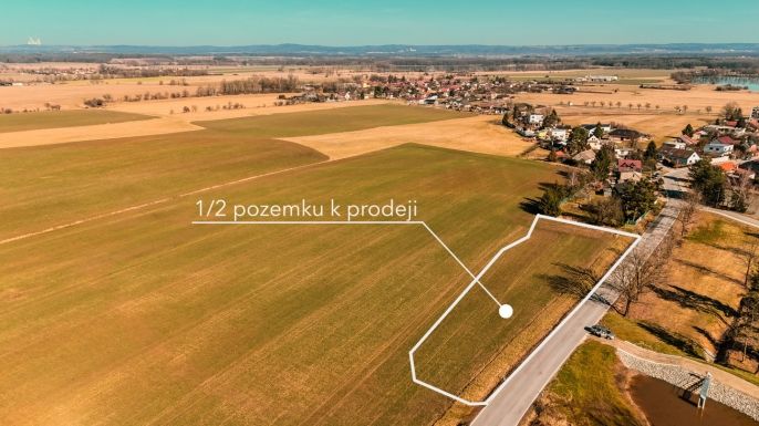 Prodej, Pole, Dubné