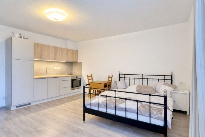 Pronájem, Byt 1+kk, Kladno