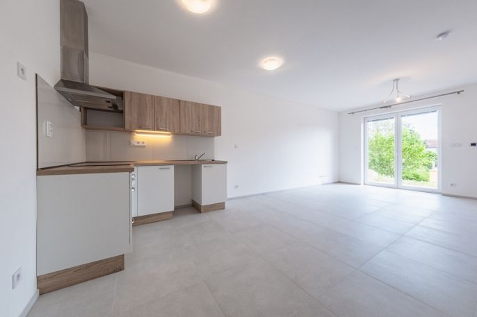 Pronájem, Byt 1+kk, Vojkov