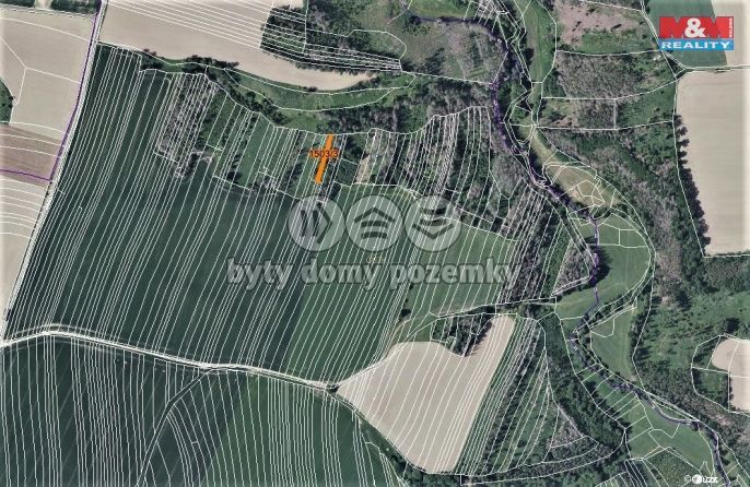 Prodej, Les, Trhový Štěpánov