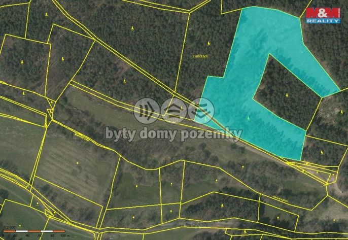 Prodej, Les, Přechovice