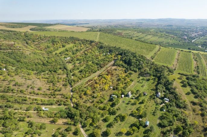 Prodej, Zahrada, Židlochovice