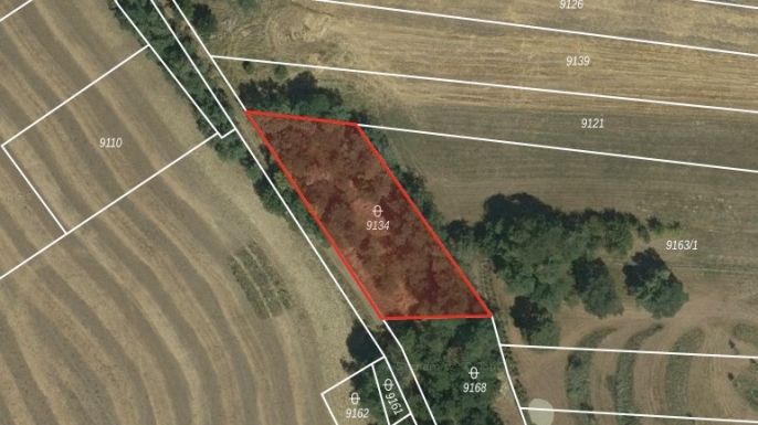 Prodej, Ostatní, Oleksovice