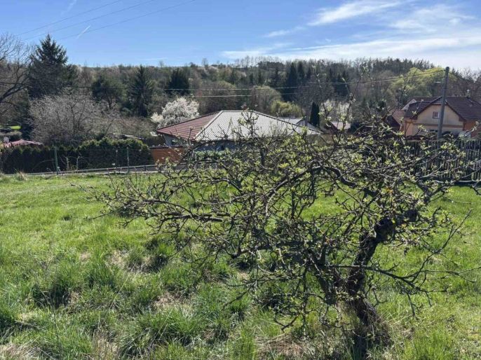 Prodej, Pozemek k bydlení, Tismice