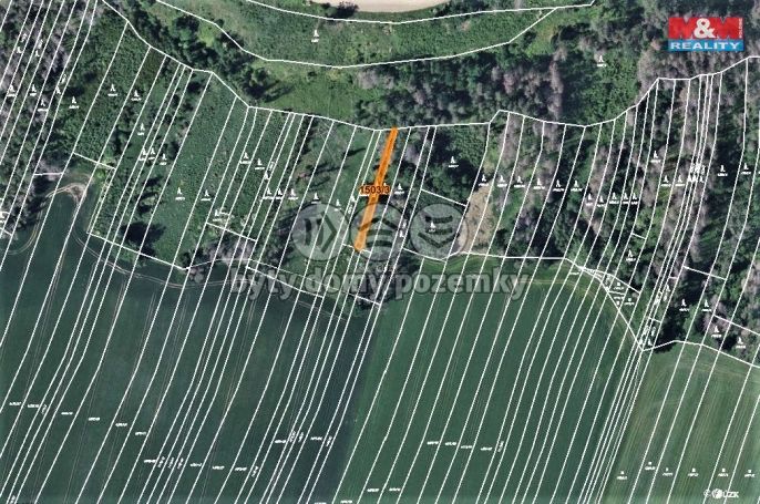 Prodej, Les, Trhový Štěpánov