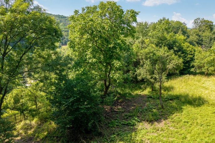 Prodej, Zahrada, Ryjice