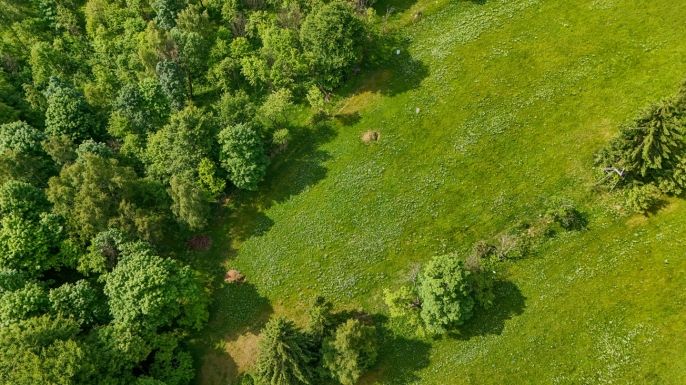 Prodej, Pozemek k bydlení, Blatno