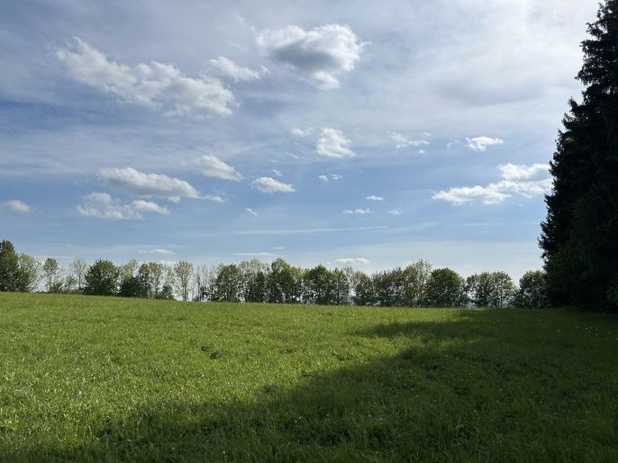 Prodej, Pole, Jestřabí v Krkonoších