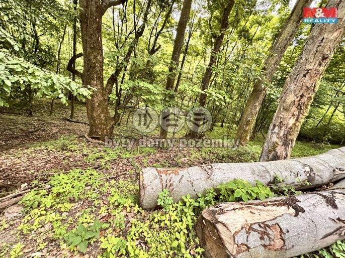 Prodej, Zahrada, Horní Jiřetín