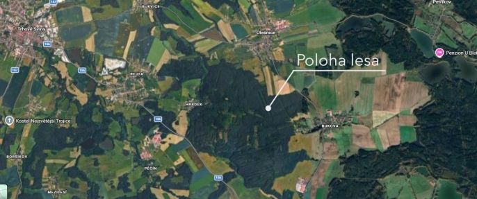 Prodej, Les, Olešnice