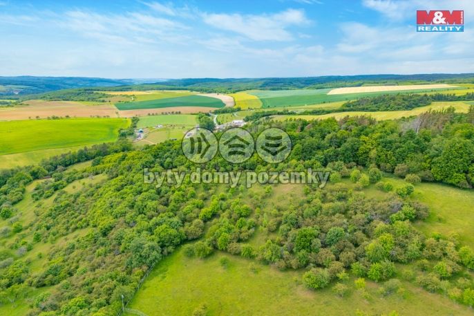 Prodej, Les, Chyňava