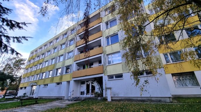 Pronájem, Byt 3+1, Kladno