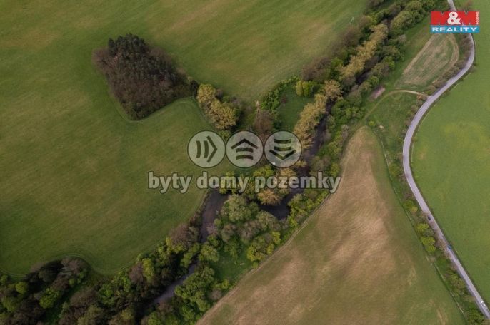 Prodej, Les, Borohrádek