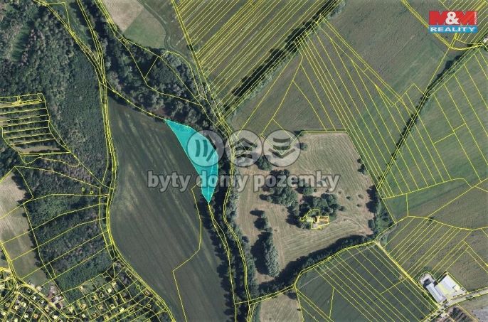 Prodej, Pole, Březina