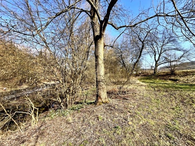 Prodej, Pozemek k bydlení, Heřmanov