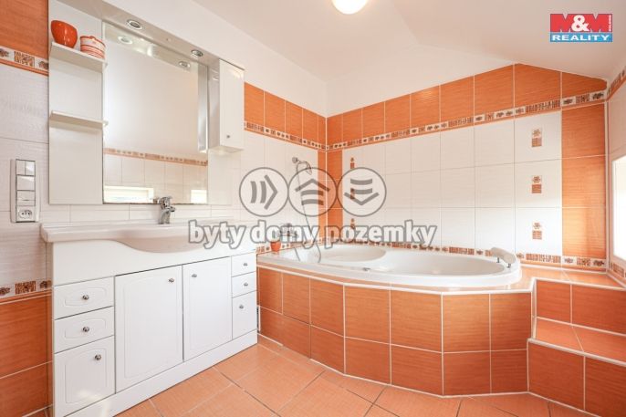 Prodej, Rodinný dům, Velký Týnec