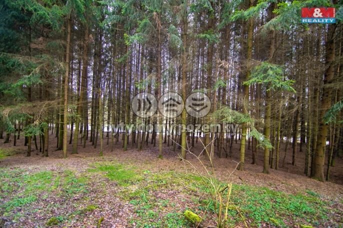 Prodej, Les, Zruč-Senec