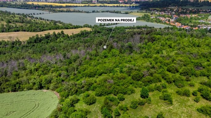Prodej, Les, Libochovice
