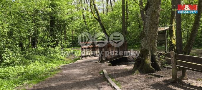 Prodej, Chata, Plasy