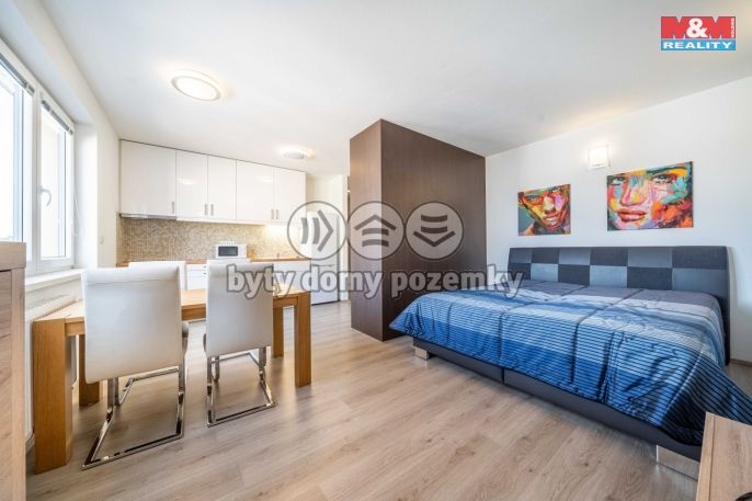 Pronájem, Byt 1+kk, Plzeň