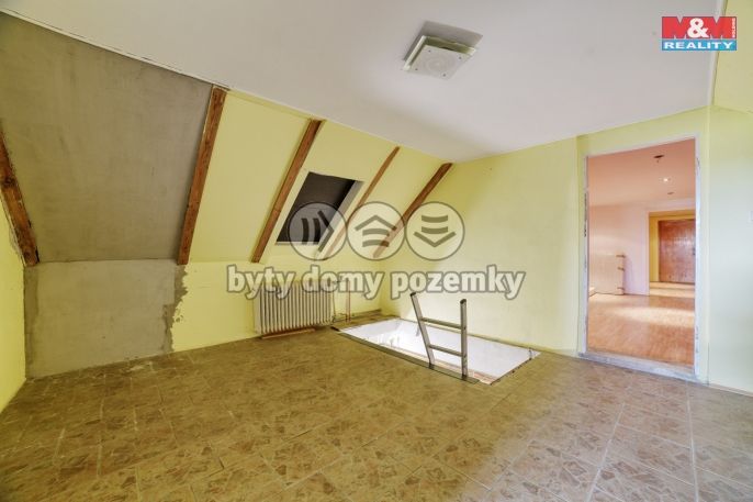 Prodej, Rodinný dům, Planá