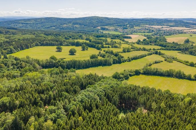 Prodej, Louka, Louňová