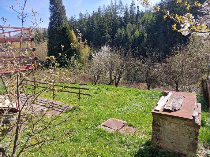 Prodej, Chata, Úsobrno