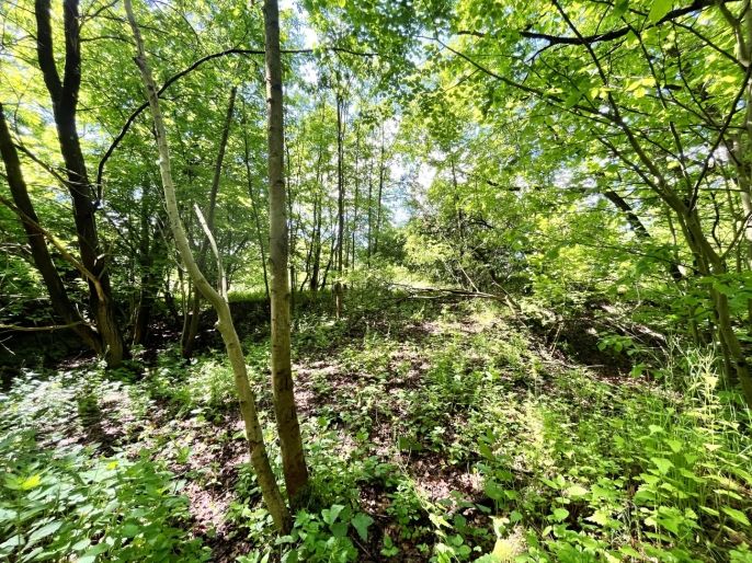 Prodej, Vodní plocha, Skalice u České Lípy