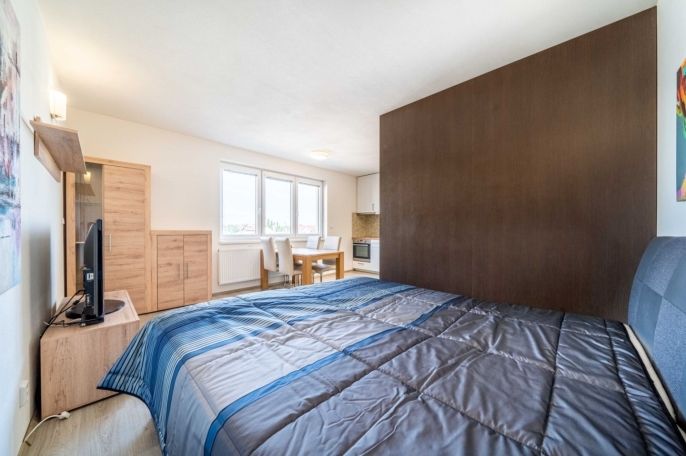 Prodej, Byt 1+kk, Plzeň