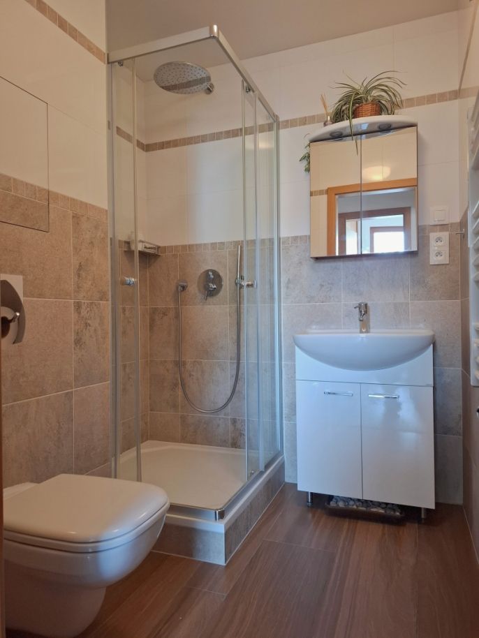 Pronájem, Byt 5+kk, Praha