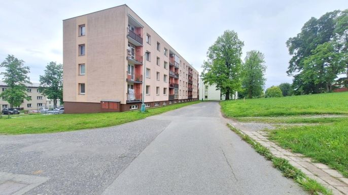 Prodej, Byt 1+1, Rokytnice v Orlických horách