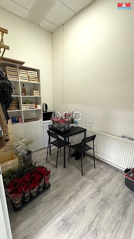 Pronájem, Obchod a služby, Brno