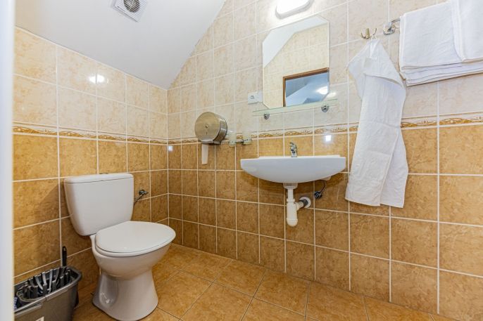 Pronájem, Byt 1+kk, Čáslav