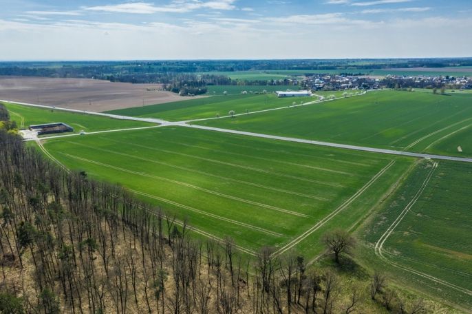 Prodej, Pole, Čistá