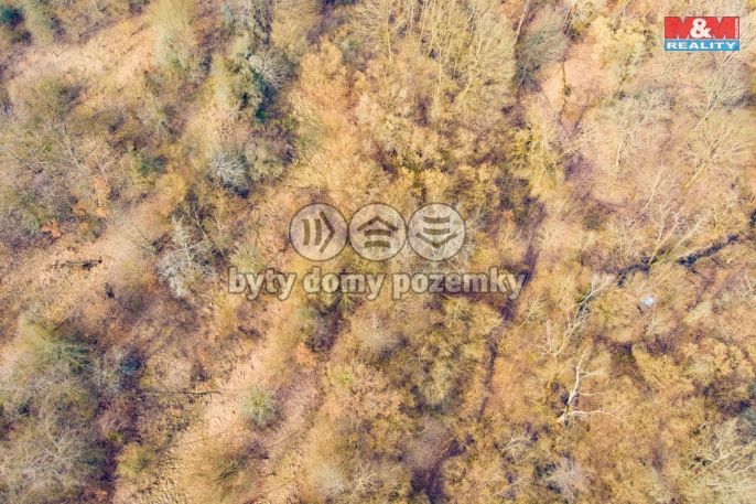 Prodej, Ostatní, Ústí nad Labem