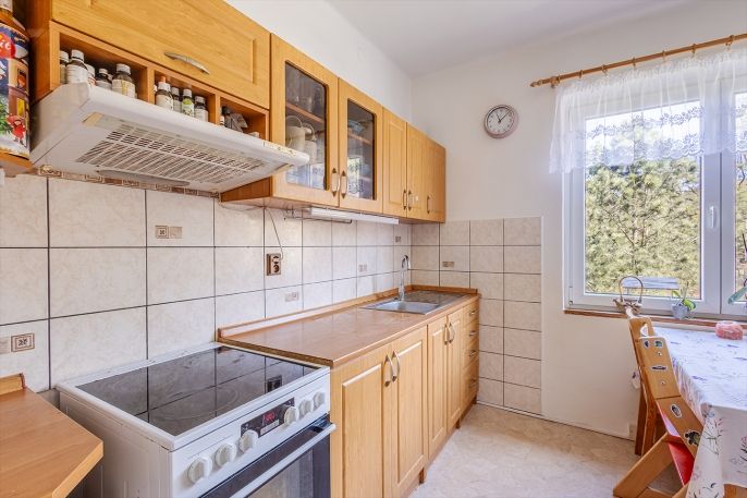 Prodej, Byt 3+kk, Provodín