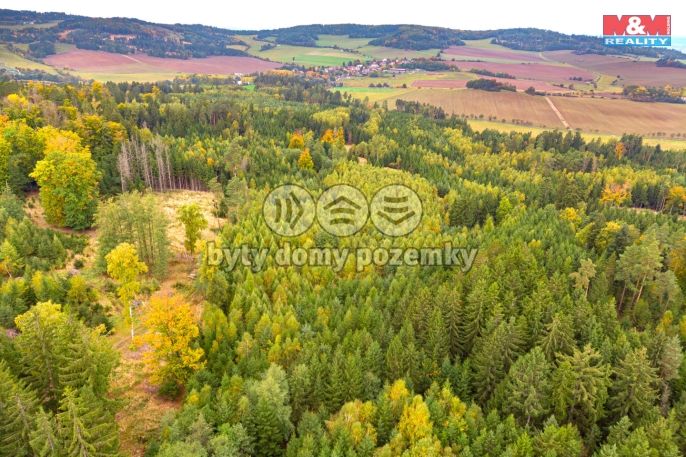 Prodej, Les, Černíkov