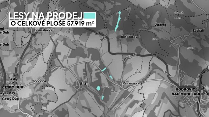 Prodej, Les, Bílá