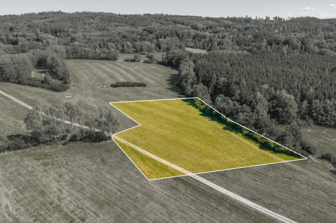 Prodej, Louka, Louňová