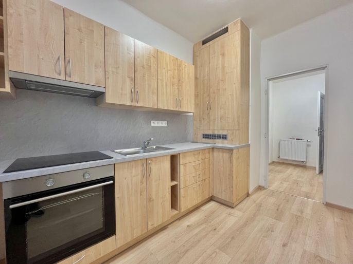 Pronájem, Byt 2+1, Louny