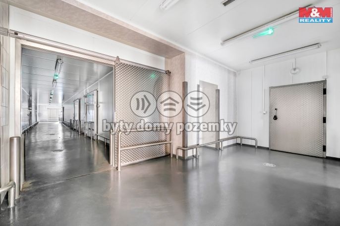 Pronájem, Obchod a služby, Červený Kostelec