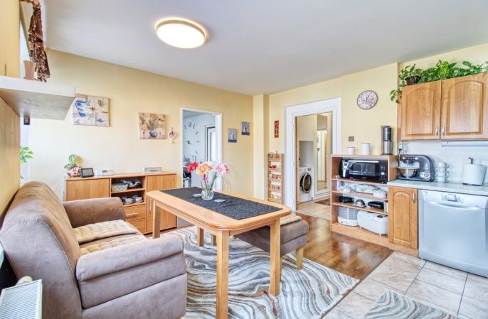 Prodej, Byt 2+1, Lom